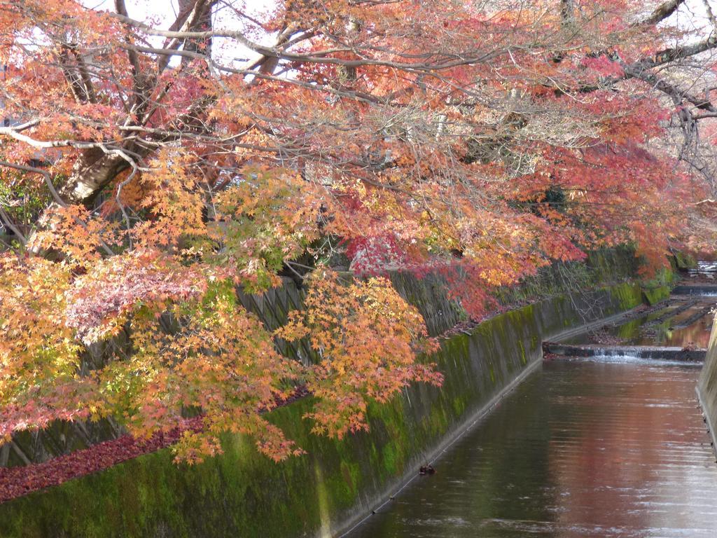 Saizen Matsumuro Stay Kyoto Exterior photo