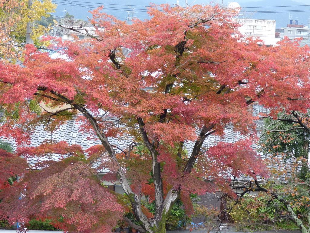 Saizen Matsumuro Stay Kyoto Exterior photo