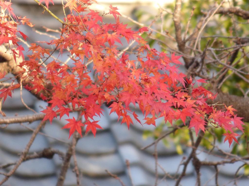 Saizen Matsumuro Stay Kyoto Exterior photo