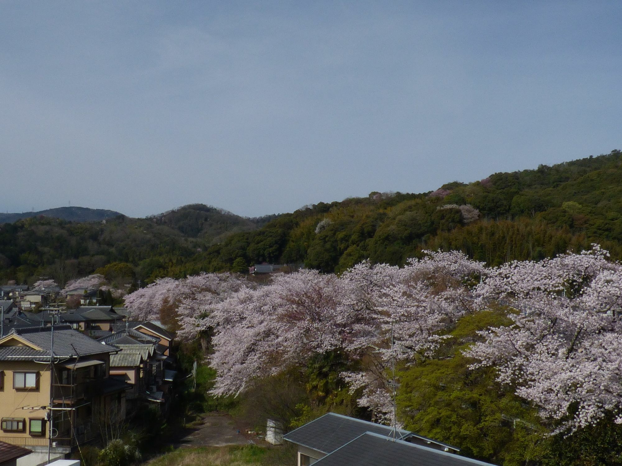 Saizen Matsumuro Stay Kyoto Exterior photo